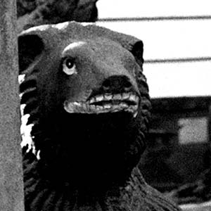 Bear-Faced in Bombay